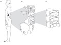 Elsevier : Therapeutic Exercise for Lumbopelvic Stabilization