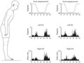 Elsevier : Therapeutic Exercise for Lumbopelvic Stabilization