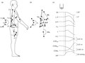 Elsevier : Therapeutic Exercise for Lumbopelvic Stabilization