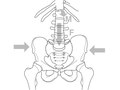 Elsevier : Therapeutic Exercise for Lumbopelvic Stabilization