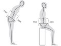 Elsevier : Therapeutic Exercise for Lumbopelvic Stabilization