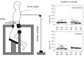 Elsevier : Therapeutic Exercise for Lumbopelvic Stabilization