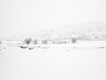 into the white