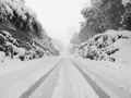 Snow tracks