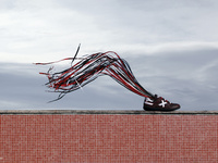 NOTECORTESUNPELO - Winter 2010 / by NYTT studio