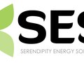 SES: Logo design