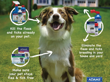 Adams Flea & Tick Control Branding