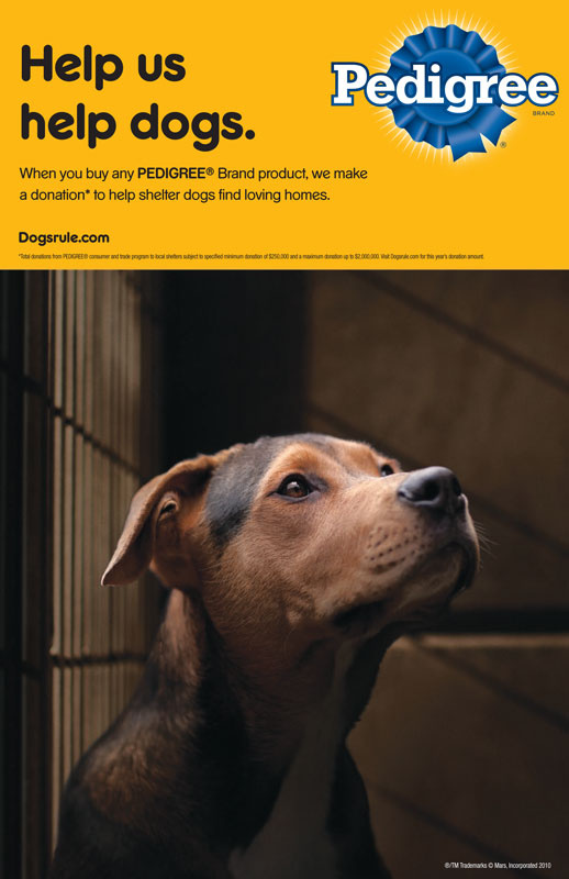 Pedigree Adoption Drive Ad