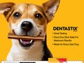 Dentastix FSI with Coupon
