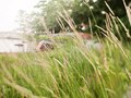 Martela Environment