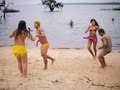 Brasil, Amazon, Wärtsilä