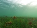 Estonia, Saaremaa