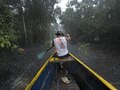 Brasil, Amazon
