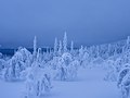 Finland, Lapland