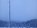 Finland, Lapland