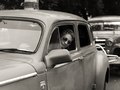 Cuba, Havanna