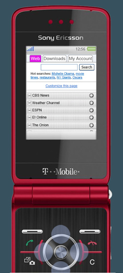 Flash Prototype