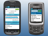 Mobile Web Portal - Two Experience Tiers - Design Lead