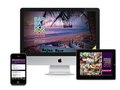 Barbados Food & Wine and Rum Festival - Strategy/Design/Creative Direction www.foodwinerum.com