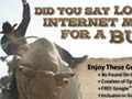 HTML/Print Campaign Design