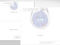 Drake DM: Art direction & copy writing