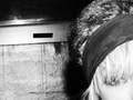 the ting tings :: sony music