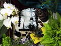 odbod collective - art directed & photographed by KAZ
