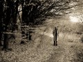 Ian Reynolds / album art work