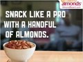 Copywriter :: Pro-Snacker Banner