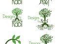 preliminary test logos for Designs by Root