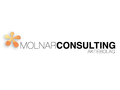 Molnar consulting - Logotype