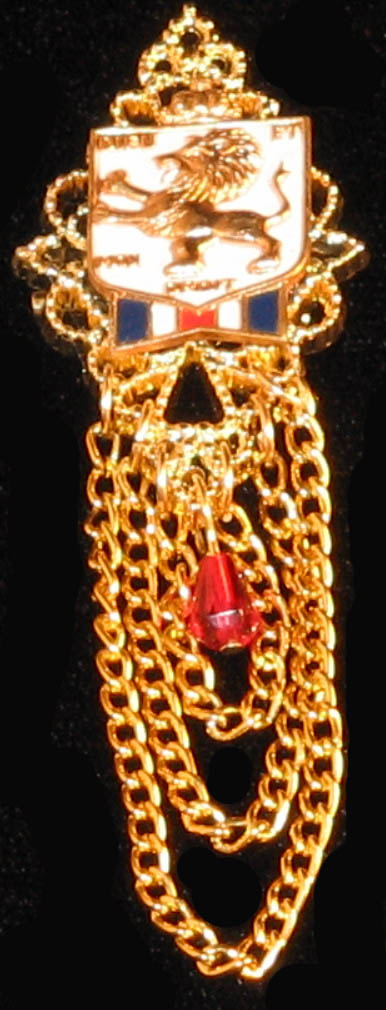 Lions Shield Pin