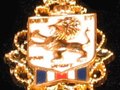 Lions Shield Pin