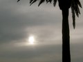 Santa Monica