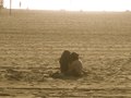 Santa Monica