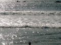 Santa Monica