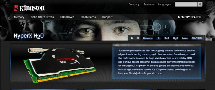 Target Audience - Young, extreme gamers & "PC Enthusiasts" (people who "race" their computers). (It's a thing.)