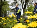 The summerjob of dreams