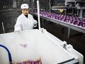 The summerjob of dreams