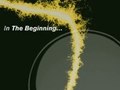 Concept, Design, Flash and After Effects Animation for Creative Commons