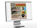 Art Direction, Web Design and Coding for MaddDogz Paintball Park (www.madddogz.com)