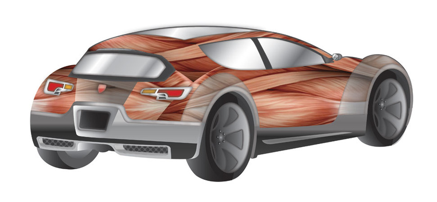 Illustration—Adobe Illustrator, Hanes Autoparts Series (Muscle Car)