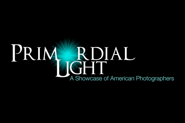 Primordial Light Gallery—All Concept, Design and Execution