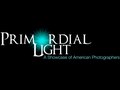 Primordial Light Gallery—All Concept, Design and Execution