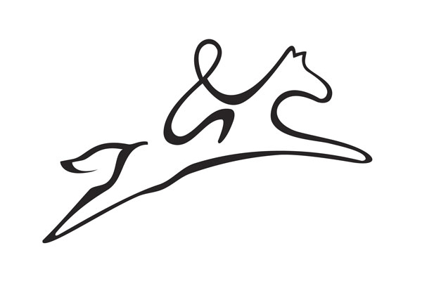 Horse and Rider—All Concept, Design and Execution