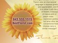 Ad series for Flowers for All Occasions: Sunflower