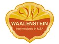 Waalenstein Logo—All Concept, Design and Execution