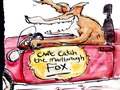 Marlborough Fox