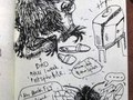 spiders