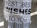 Best Wishes Card, 2008